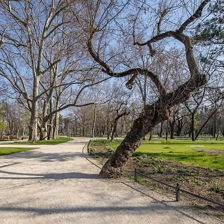 Modern - - Simple Budapešť