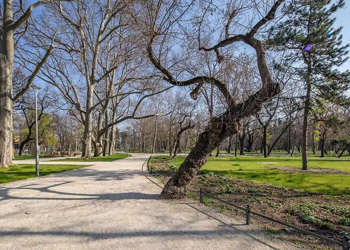 Modern - - Simple Budapesta